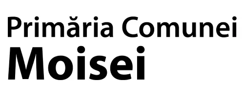 Moisei.webp